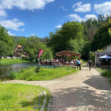 Pension Sternschnuppe, Treseburg Harz, Unmittelbar Am Wasser Thale Eksteriør bilde