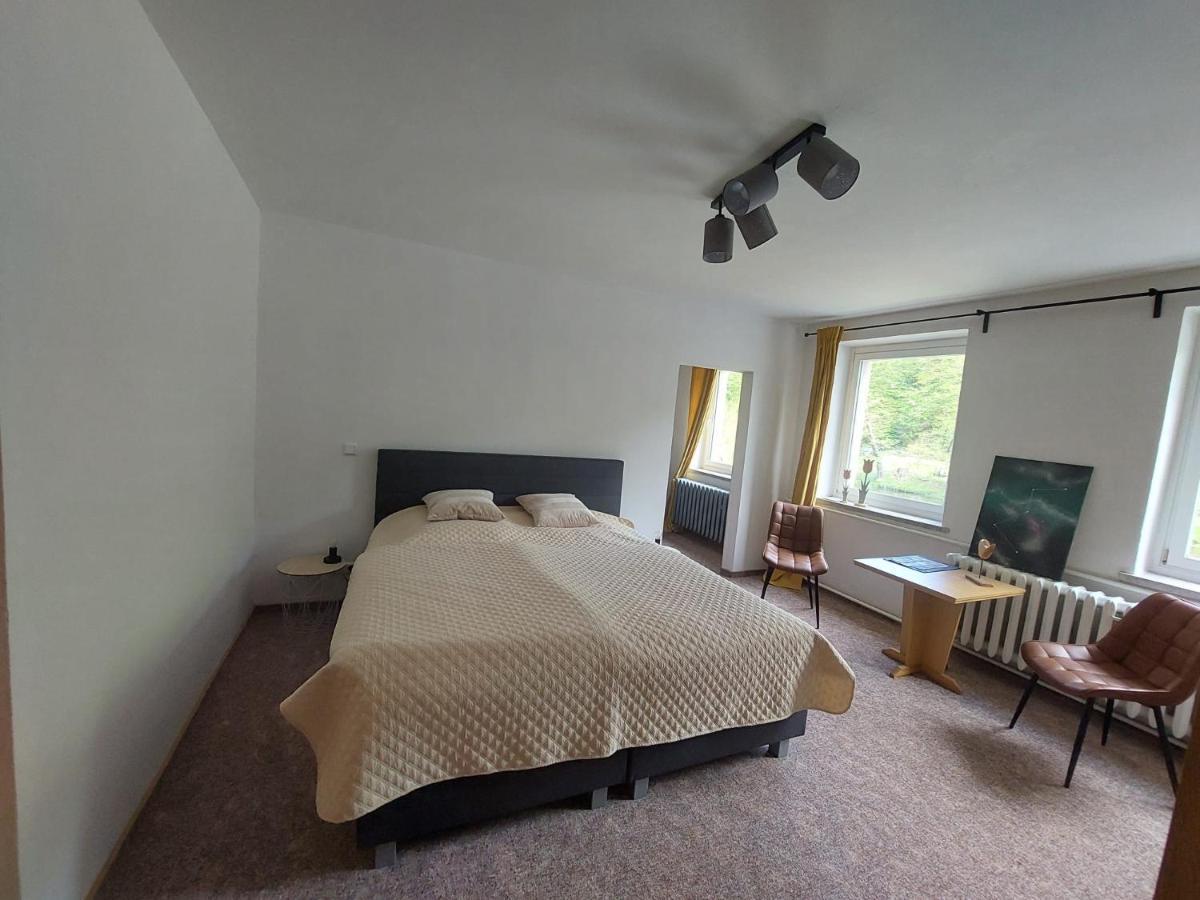 Pension Sternschnuppe, Treseburg Harz, Unmittelbar Am Wasser Thale Eksteriør bilde