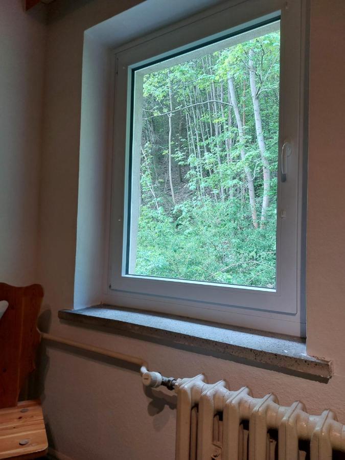 Pension Sternschnuppe, Treseburg Harz, Unmittelbar Am Wasser Thale Eksteriør bilde