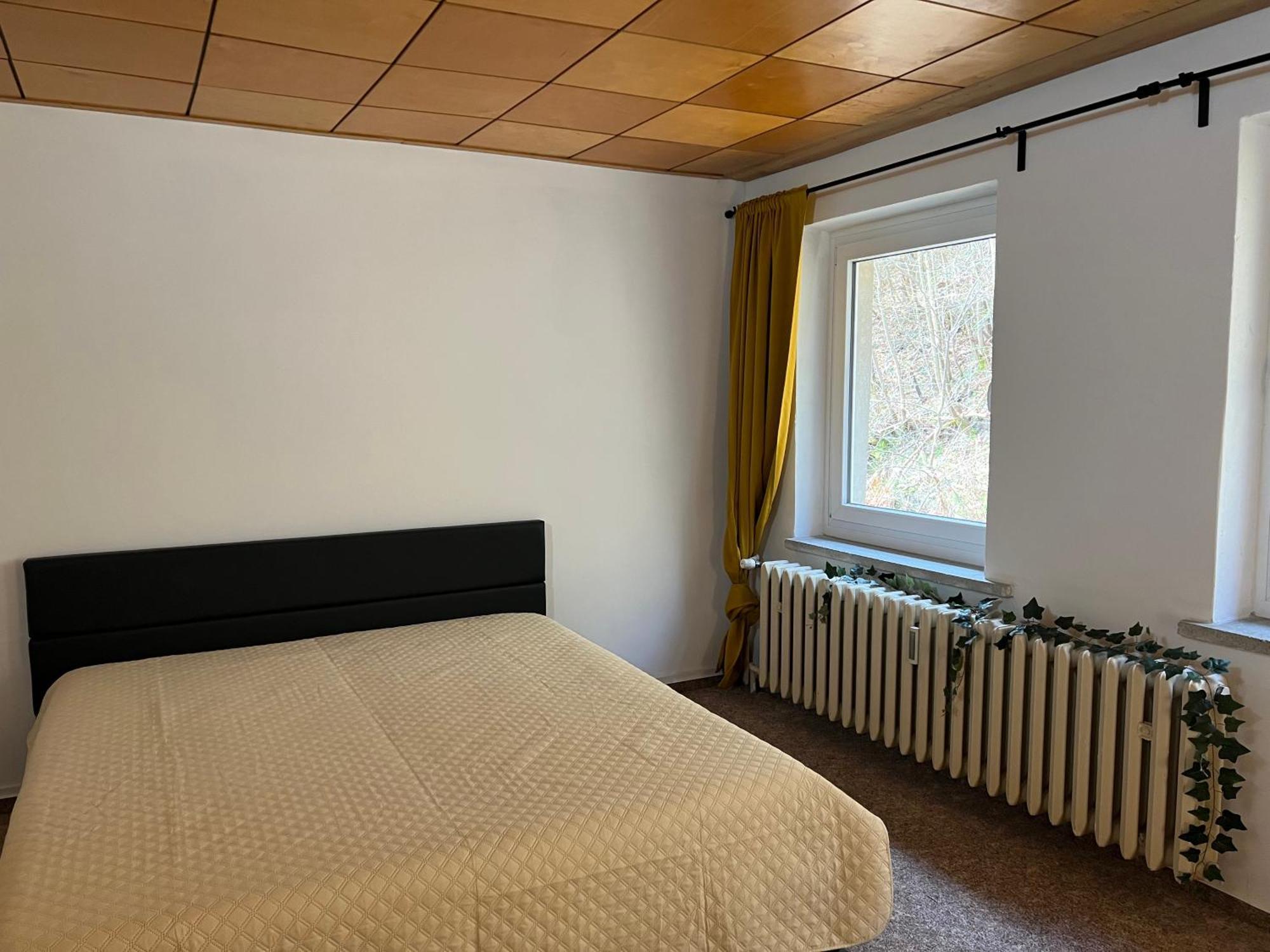 Pension Sternschnuppe, Treseburg Harz, Unmittelbar Am Wasser Thale Eksteriør bilde